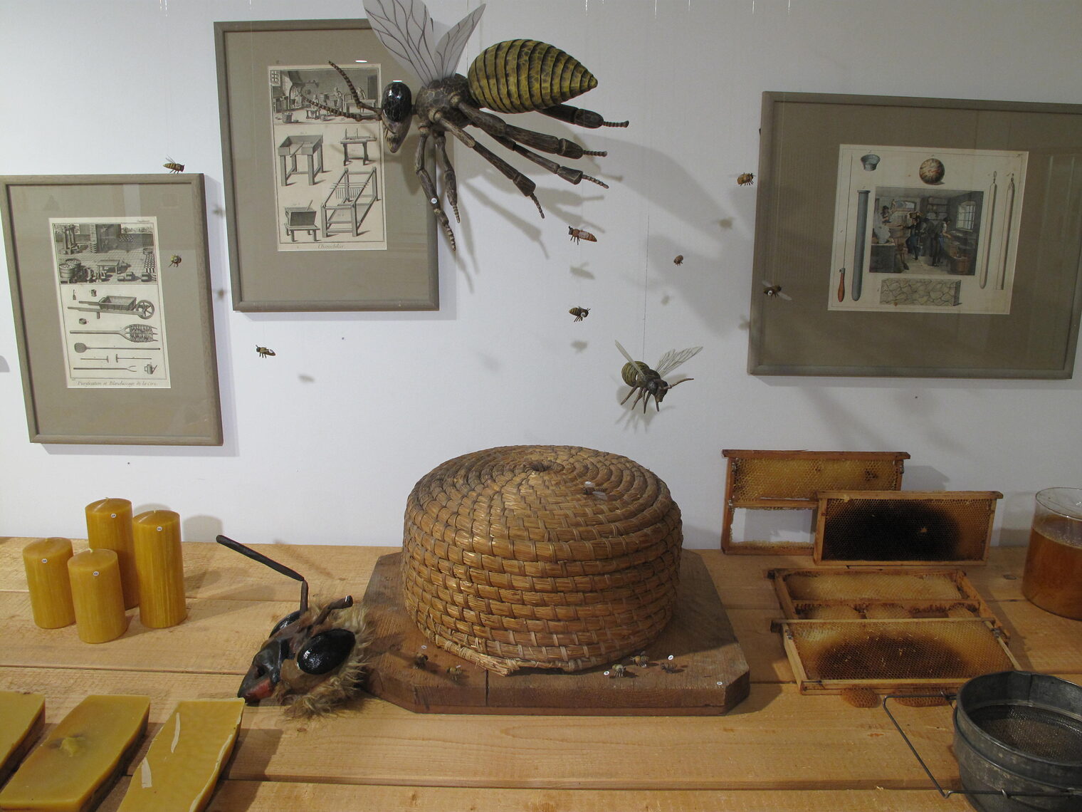 Ausstellung Bienengold - Galerie Handwerk