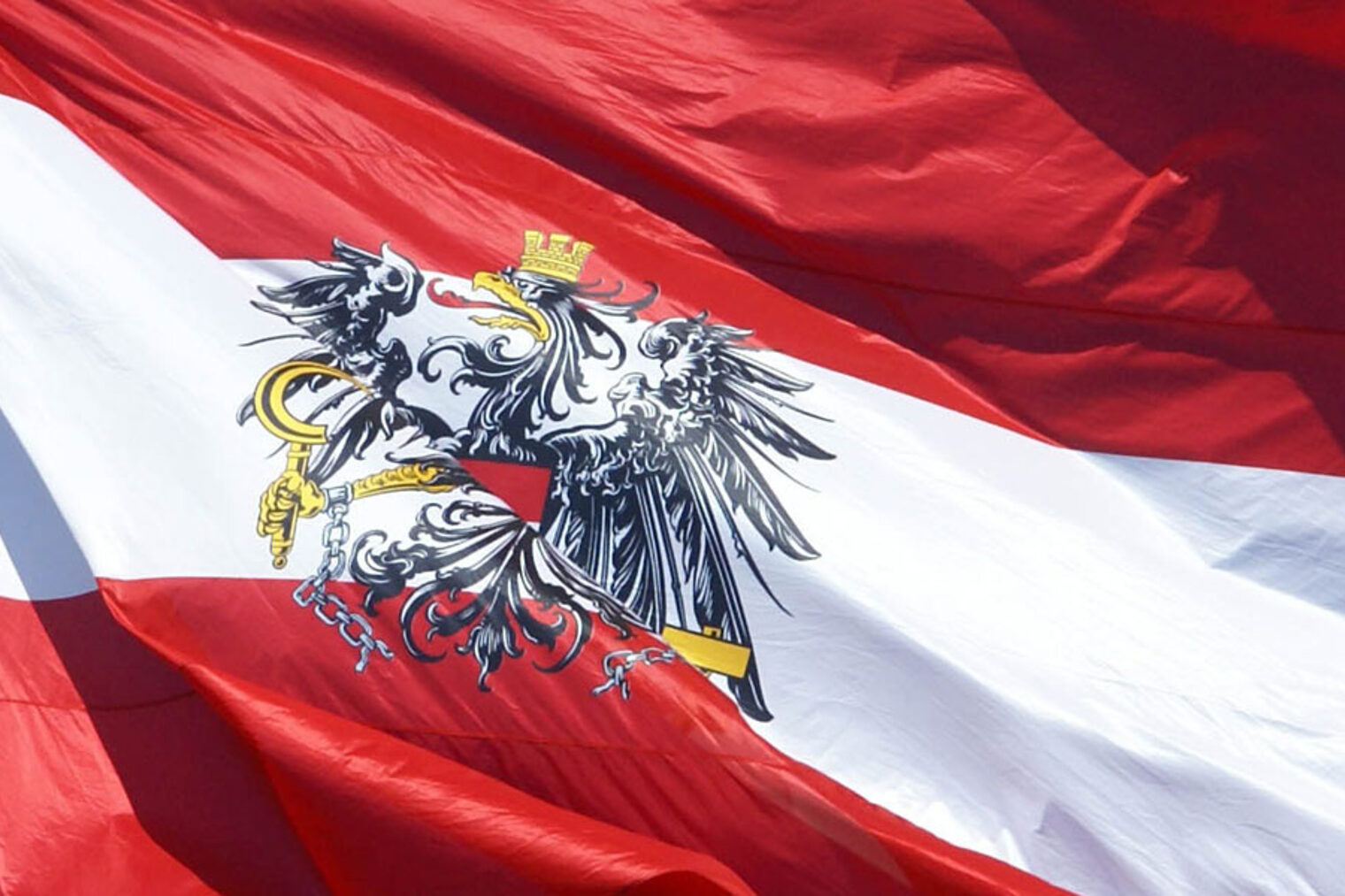 Fahne Flagge Österreich
