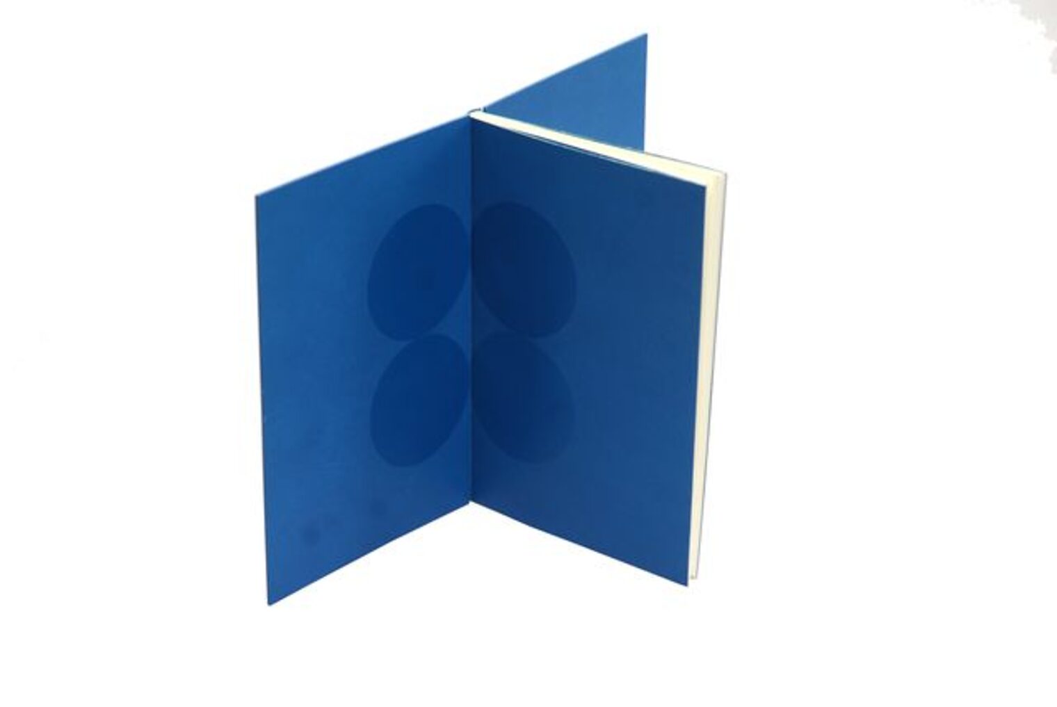 Anne Puls - Diashow zur Ausstellung "Vorsicht Buch - Mechthild Lobisch und Schüler" Anne Puls - Diashow zur Ausstellung "Vorsicht Buch - Mechthild Lobisch und Schüler"