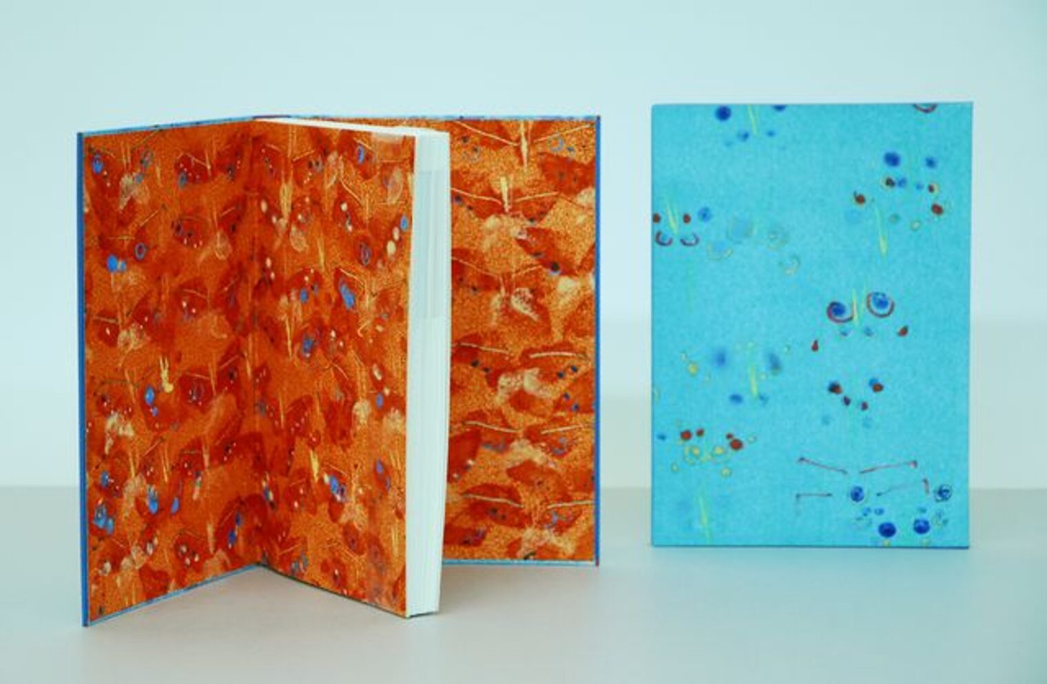 Sonja Poll - Diashow zur Ausstellung "Vorsicht Buch - Mechthild Lobisch und Schüler" Sonja Poll - Diashow zur Ausstellung "Vorsicht Buch - Mechthild Lobisch und Schüler"