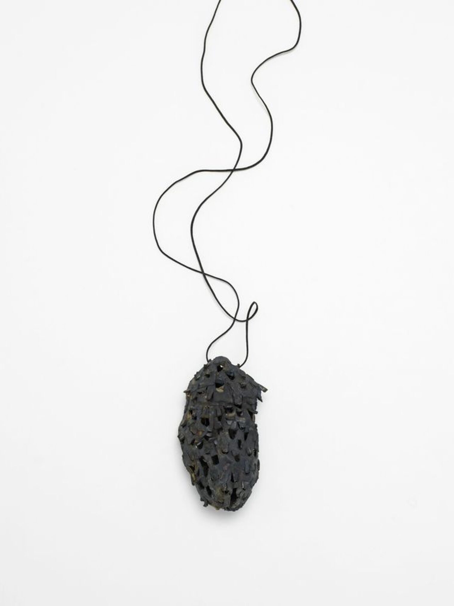 Der Baum Diashow - Anna Moll