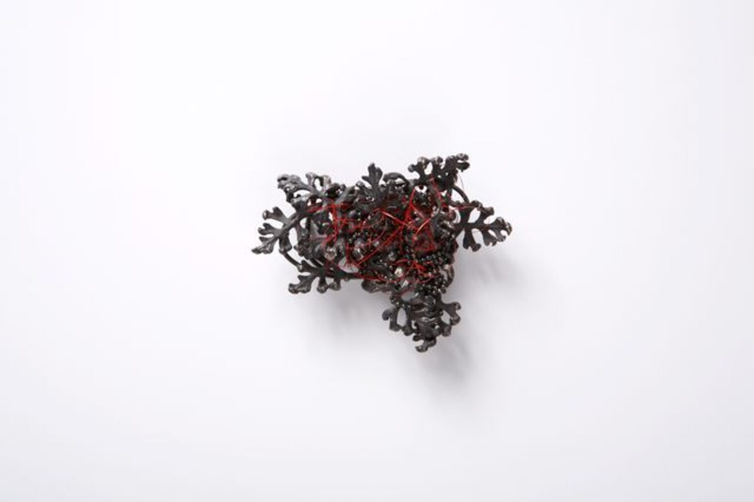 Der Baum Diashow - Mari Ishikawa